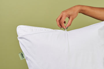 Cotton Jersey Pillow Protector